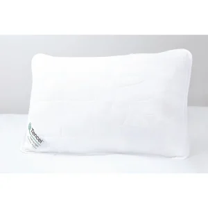 Tencel pillow against headboard